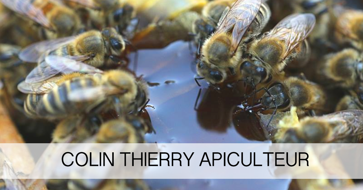 Colin Thierry Apiculteur Oma & Opa Des producteurs près de chez vous
