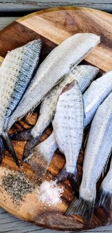 Pisciculture François Guidat