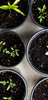 Horticulture Bienvenot