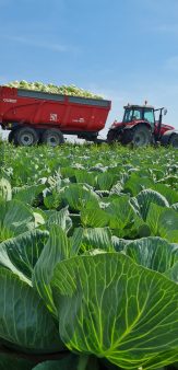 Choucrouterie Meyer Wagner