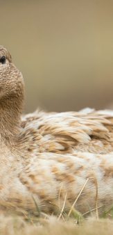 Maison Lucien Doriath