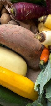 Le Potager de Baptiste
